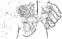 mb_length1