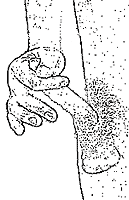 mb_length3