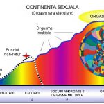 Tehnici de revitalizare a vietii sexuale