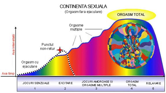viața sexuală în cuplu tehnici — tehnici revitalizare viata sexuala cuplu | Erotica.ro